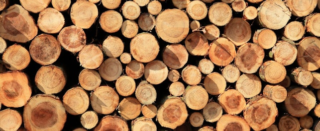 8 września 2025 odbędzie się premiera odcinka podcastu Wkręć się w eko z udziałem eksperta SGS Polska.